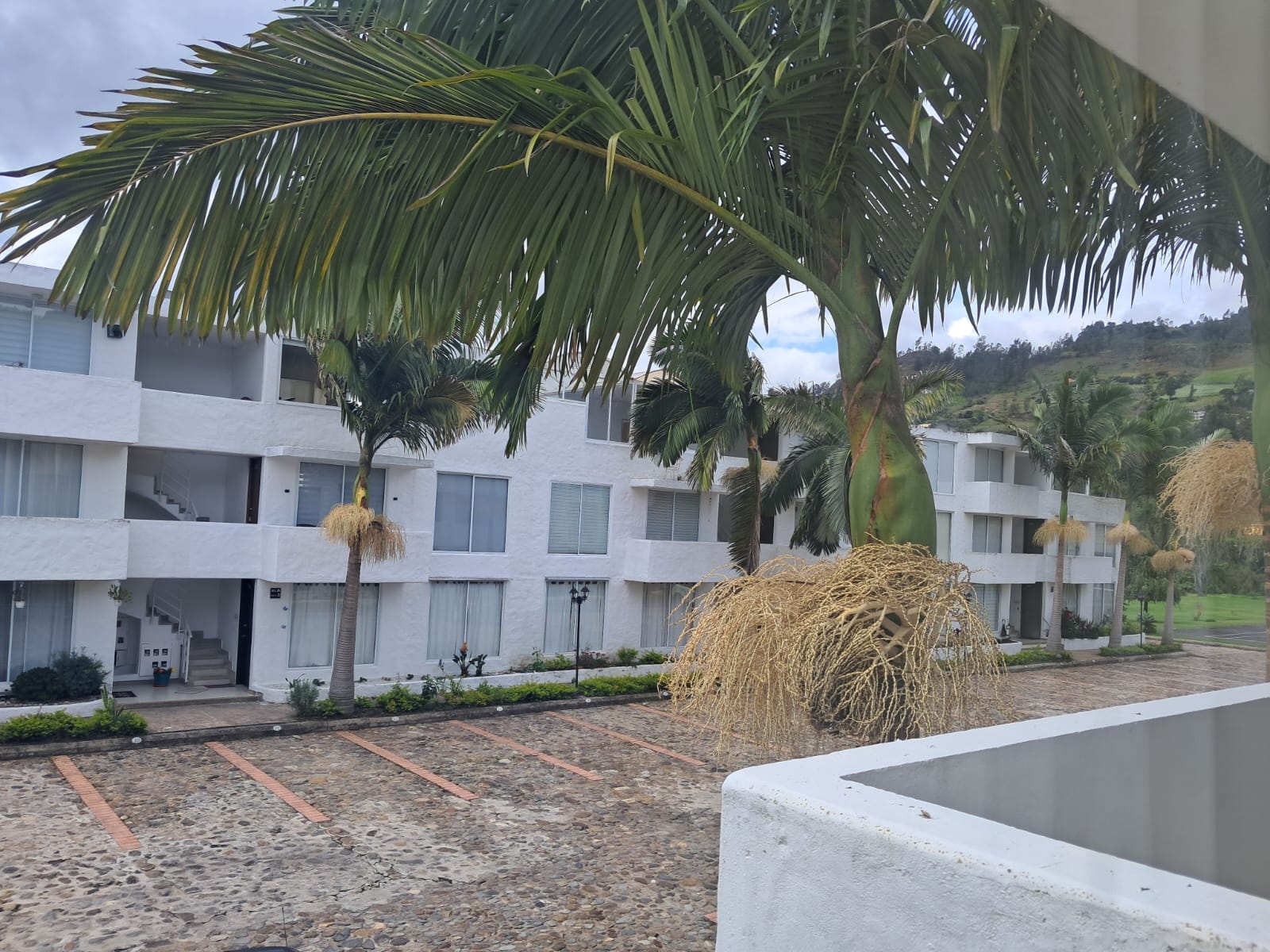 8a4d7fda-f591-4d77-8e0c-4369cd5223c2