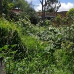 a134d525-2e9f-414d-aac0-87c44b650797