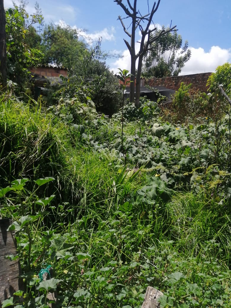 a134d525-2e9f-414d-aac0-87c44b650797