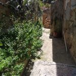 b1f766b5-e404-4d40-a063-caf62409fb97