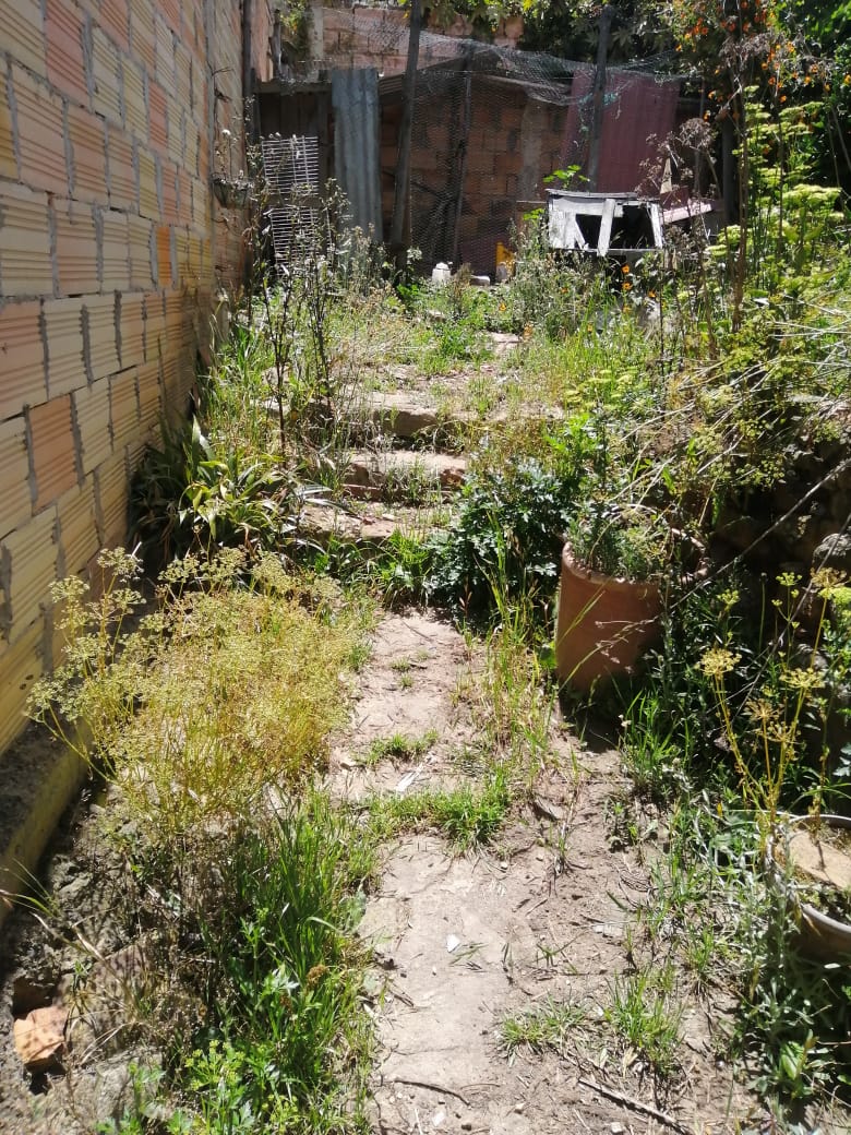 f5b66408-05c8-4f8e-9707-8ccddc4bf250