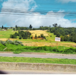 Captura de pantalla 2026-09-17 103307
