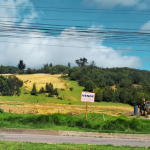 Captura de pantalla 2026-09-17 103351